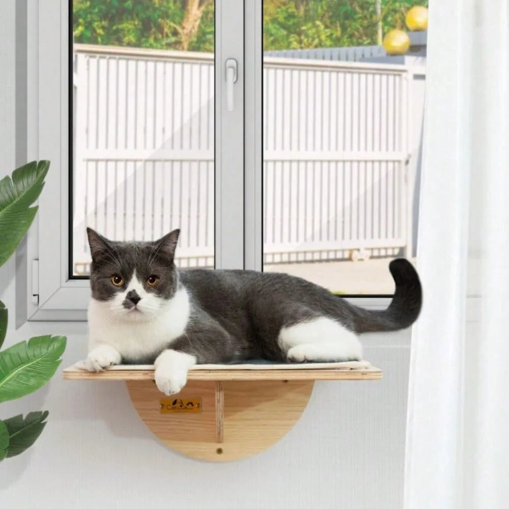 Cat Window Perch Cat Hammock Indoor Cat Hammock with Suction Cups for Small Cat