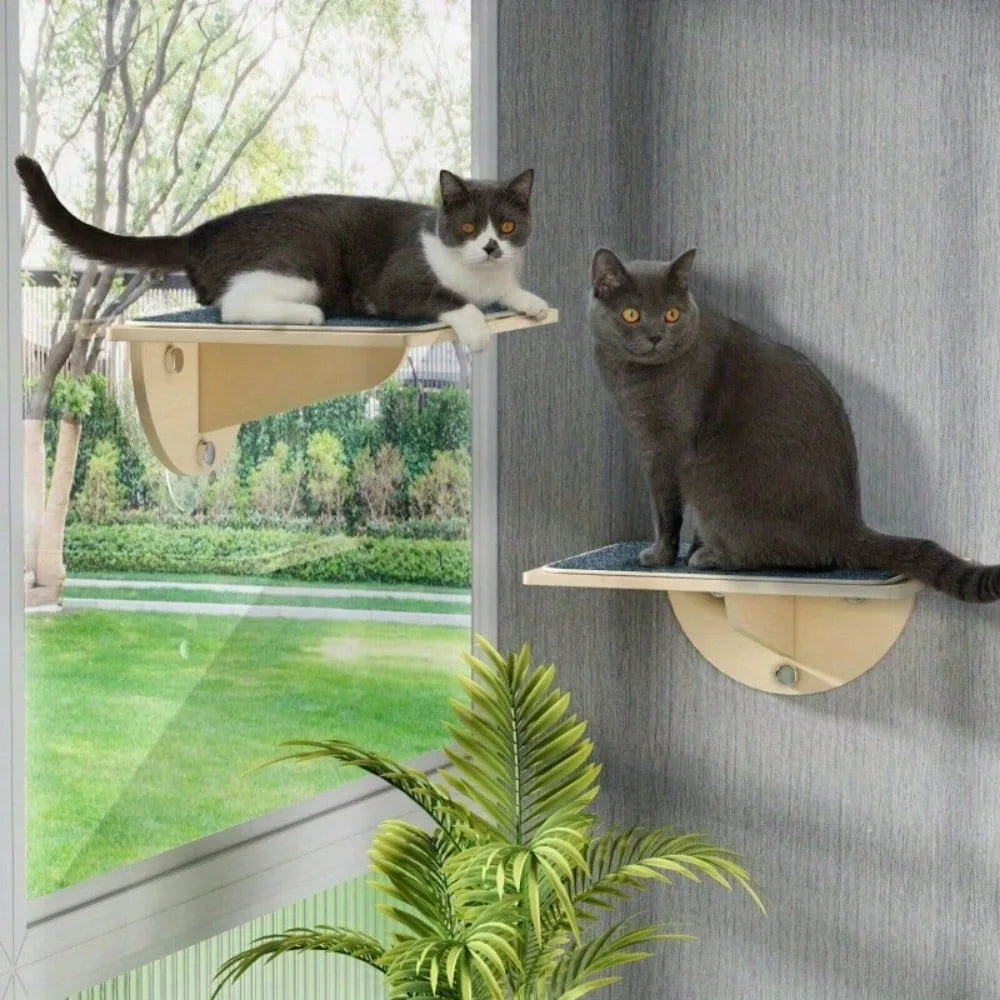 Cat Window Perch Cat Hammock Indoor Cat Hammock with Suction Cups for Small Cat