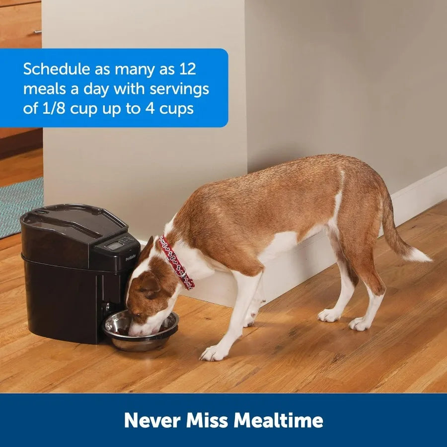 Automatic Pet Feeder for Cats and Dogs with Timed Feeding Schedule and Programmable Portion Control Ideal for Daily Use at Home