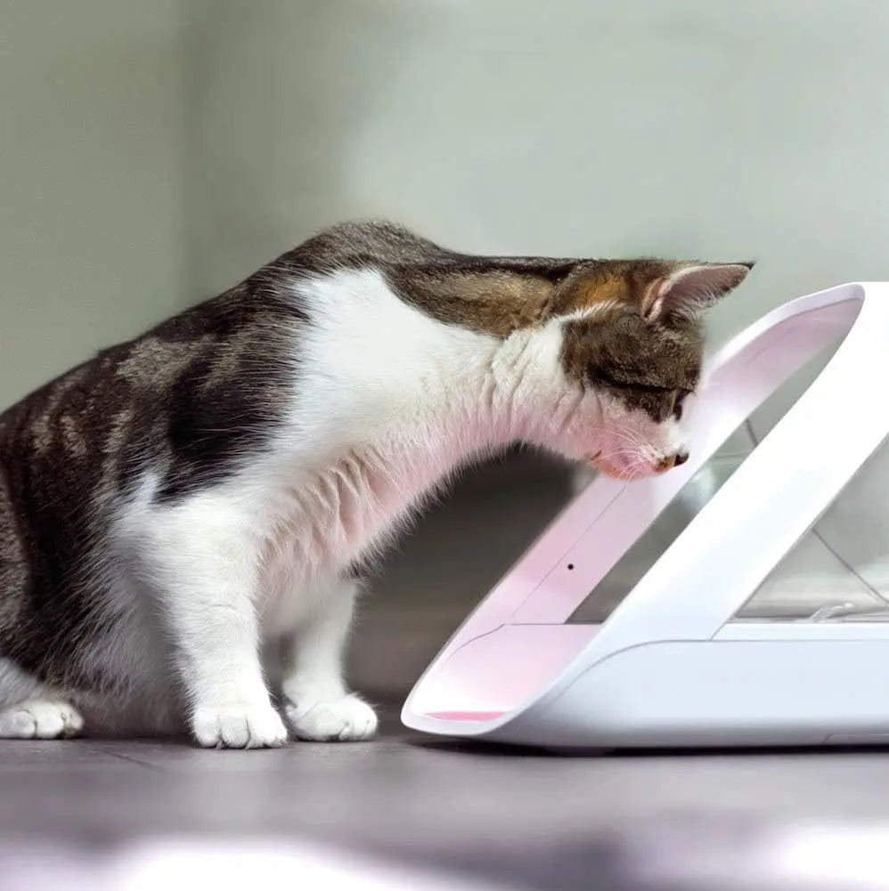 SureFeed Microchip Pet Feeder Connect - Requires Hub (Sold Separately)